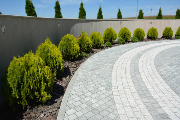 Reliable Park View, IA Driveway Pavers Solutions